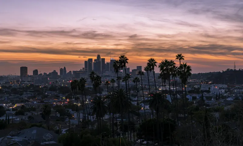 Palm trees and the Southern California skyline at dusk